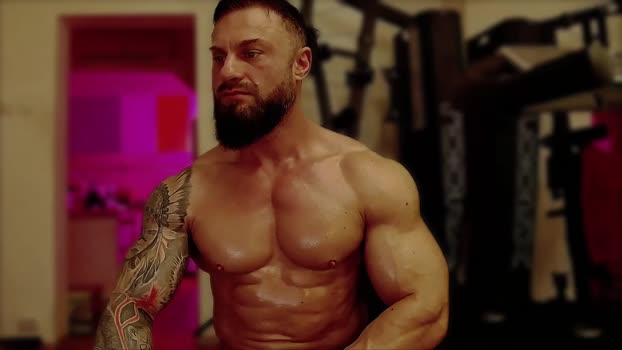 adonis_msc 14-11-2024 video toy